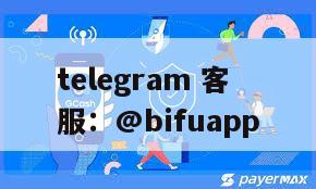 菲律宾支付：Flypay代收代付平台，快速结算和低手续费