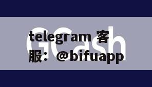 佳运支付：菲律宾低成本、高效支付通道