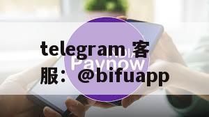 币付Pay：提供菲律宾本土支付结算和代收代付服务